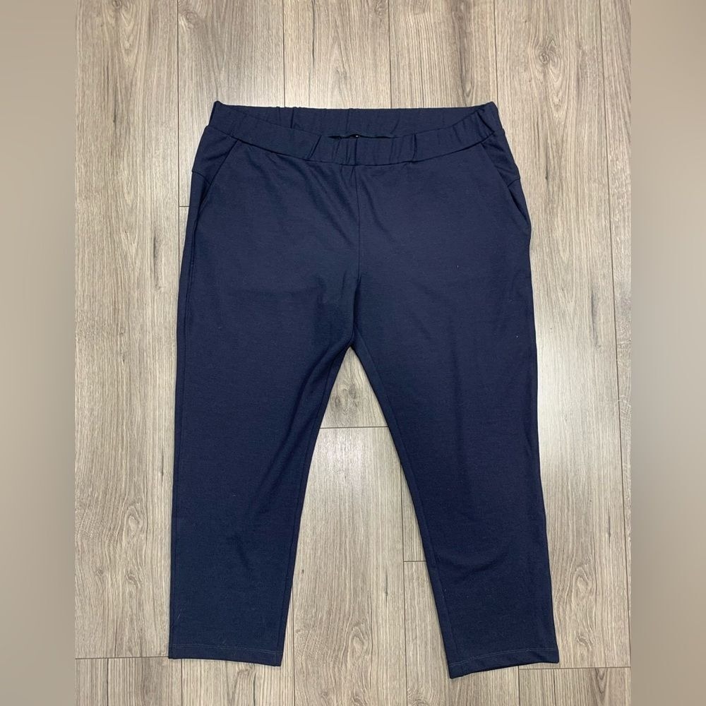 Saint and Sophia Finsbury Pant Sz 18 NWT
